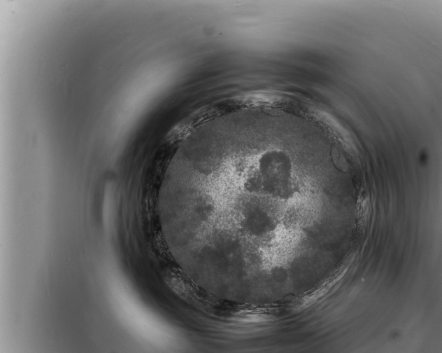 X0000098180381200805011041