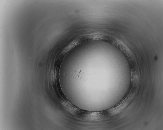 X0000098180382200805011042