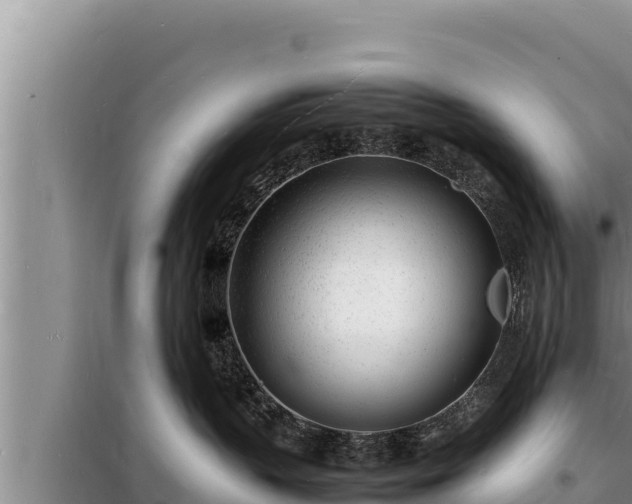 X0000098180383200805011042