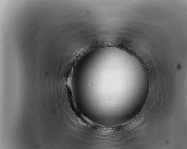 X0000098180384200805011042