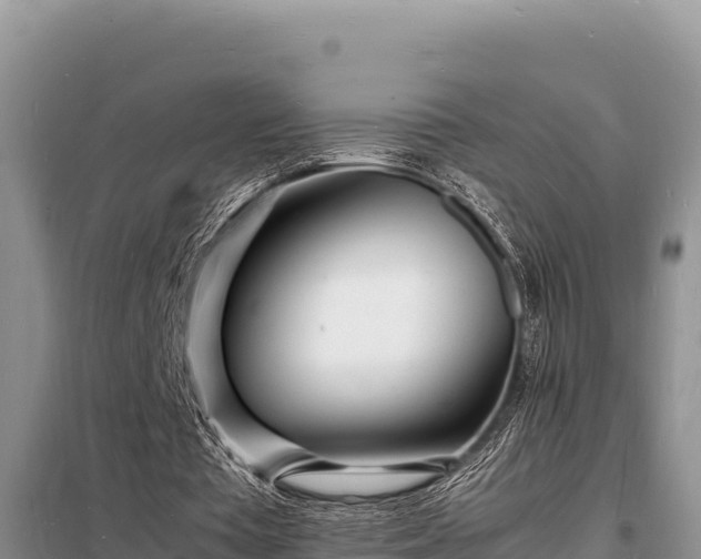 X0000098180385200805011041