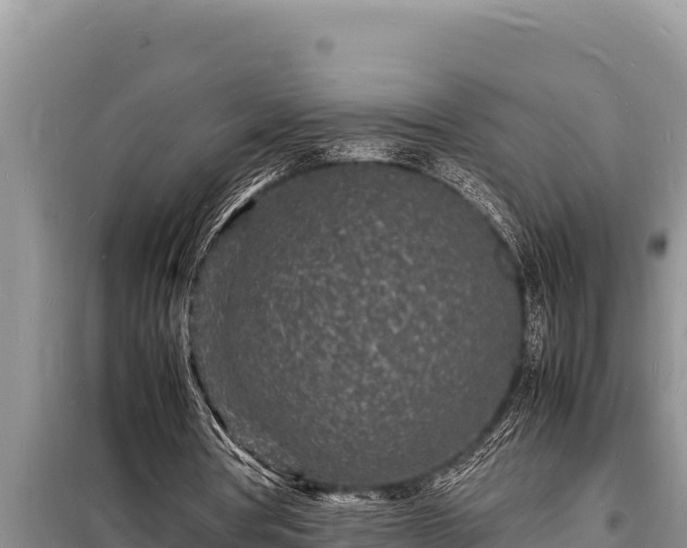 X0000098180386200805011041