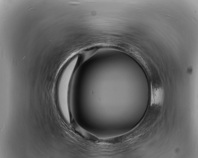 X0000098180387200805011041