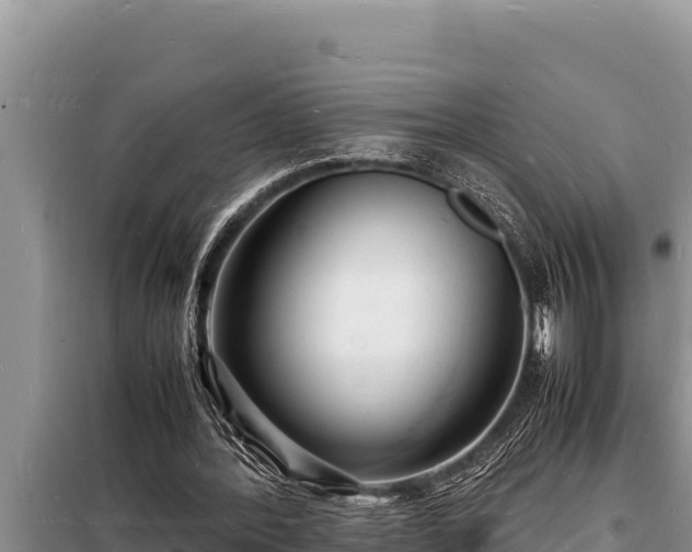 X0000098180388200805011041