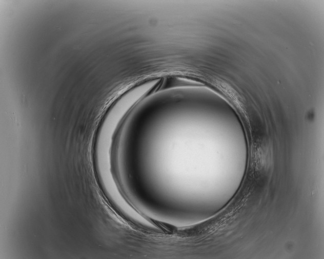 X0000098180389200805011041