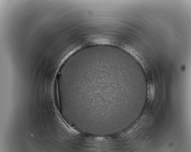 X0000098180390200805011041