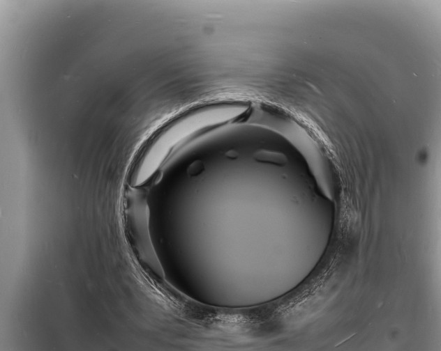 X0000098180391200805011041