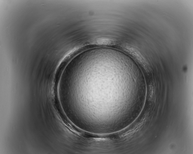 X0000098180392200805011041