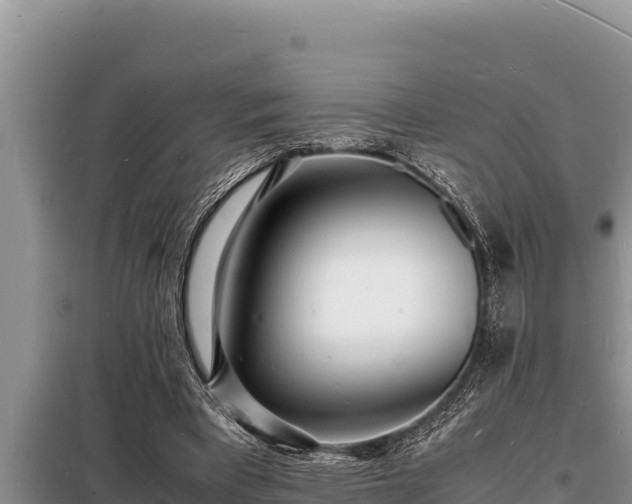 X0000098180393200805011041