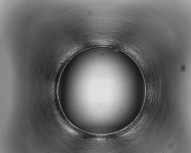 X0000098180394200805011041