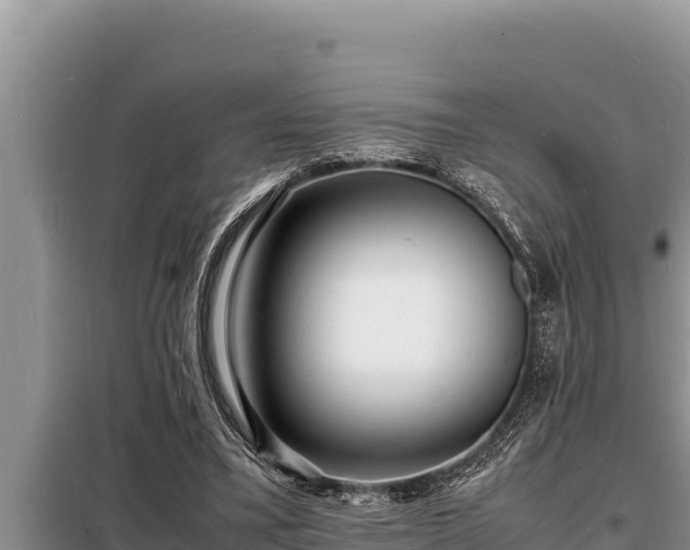 X0000098180395200805011041