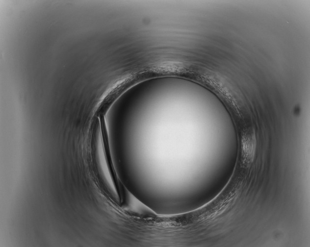 X0000098180396200805011041