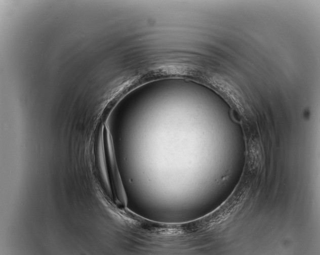 X0000098180398200805011041