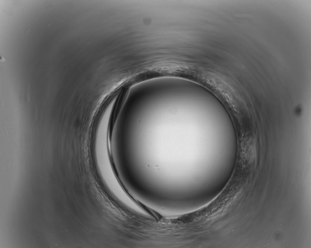 X0000098180399200805011041