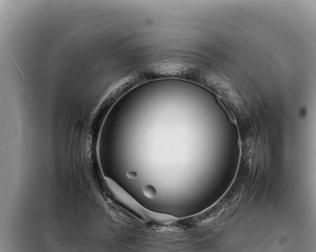 X0000098180400200805011041