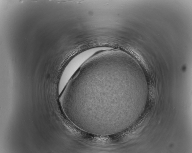 X0000098180401200805011040