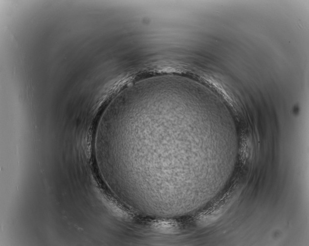 X0000098180402200805011040