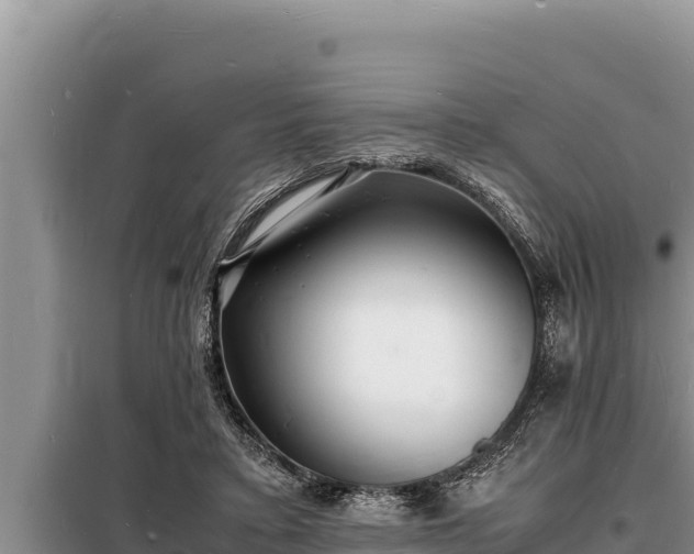 X0000098180403200805011040