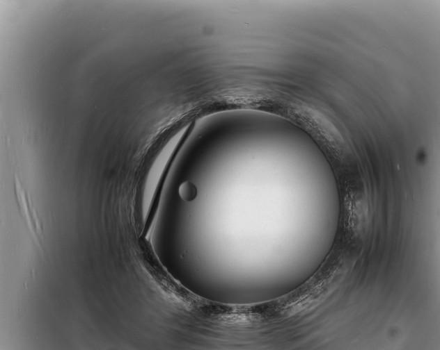 X0000098180404200805011040