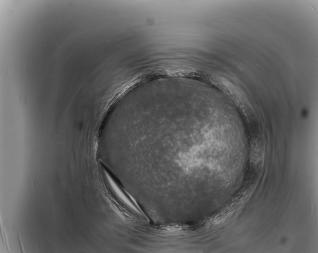 X0000098180405200805011040