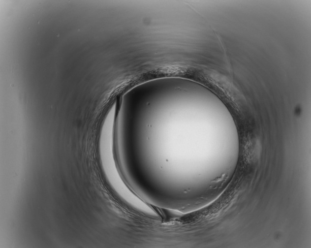 X0000098180407200805011040