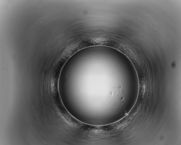 X0000098180408200805011040