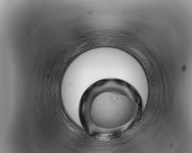 X0000098180409200805011040