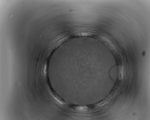 X0000098180410200805011040