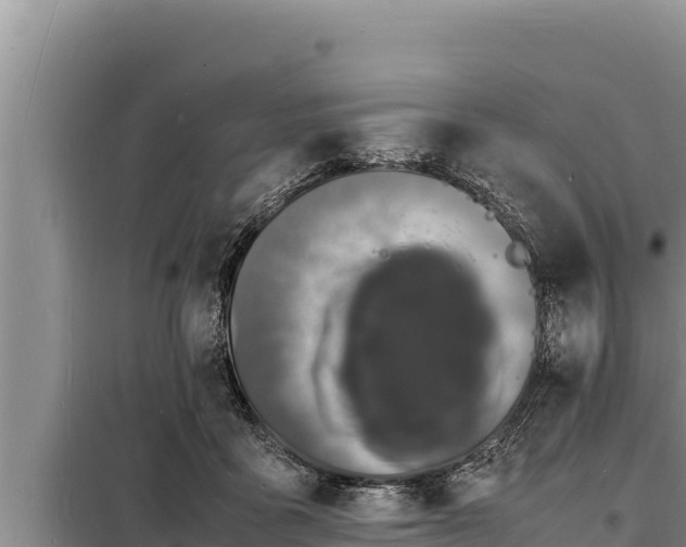 X0000098180411200805011040