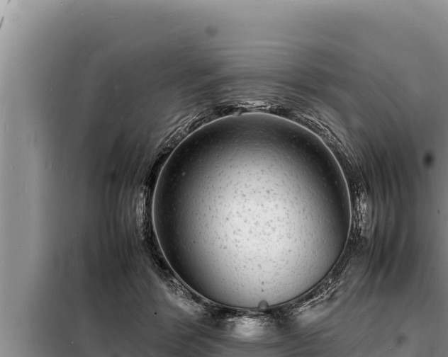 X0000098180412200805011040