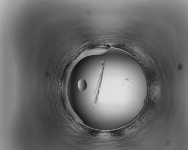 X0000098180413200805011040