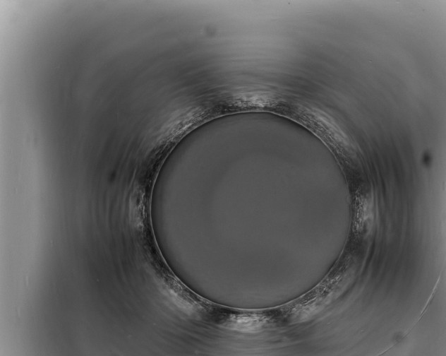 X0000098180414200805011040