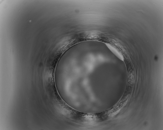 X0000098180415200805011040