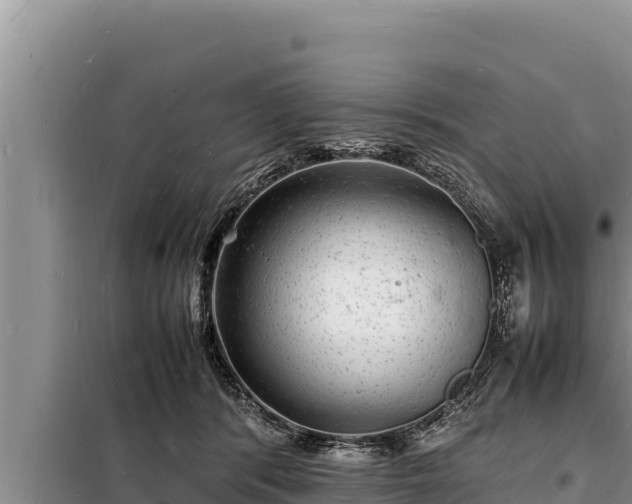 X0000098180416200805011040