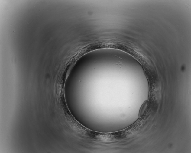 X0000098180417200805011040