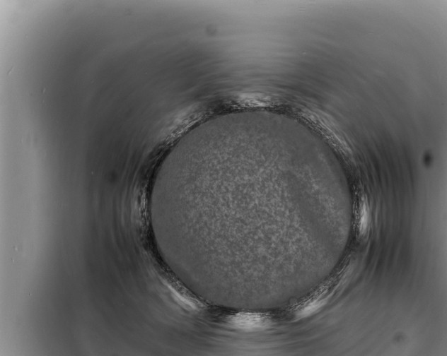 X0000098180418200805011040