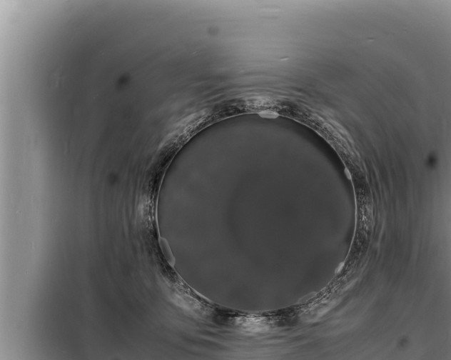 X0000098180419200805011040