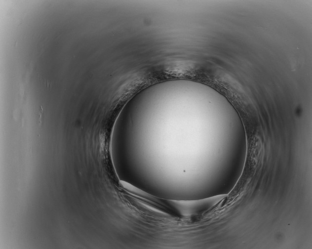 X0000098180420200805011040