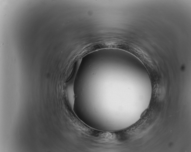 X0000098180421200805011040