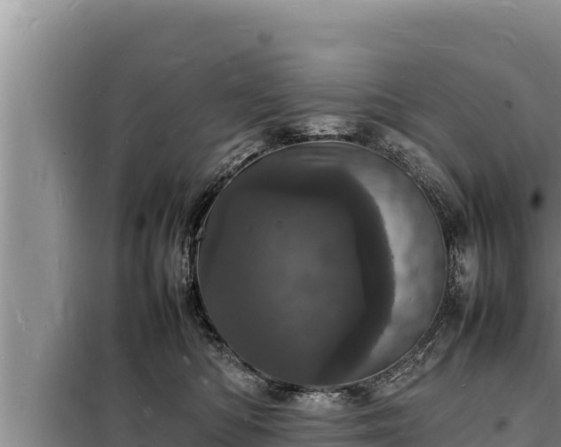 X0000098180422200805011040