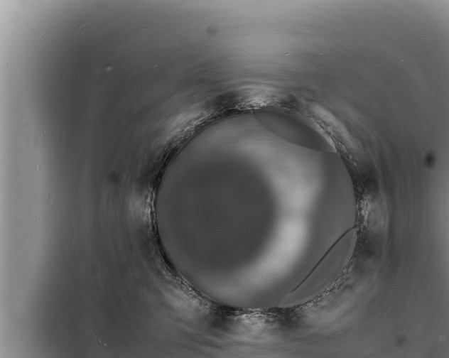 X0000098180423200805011040