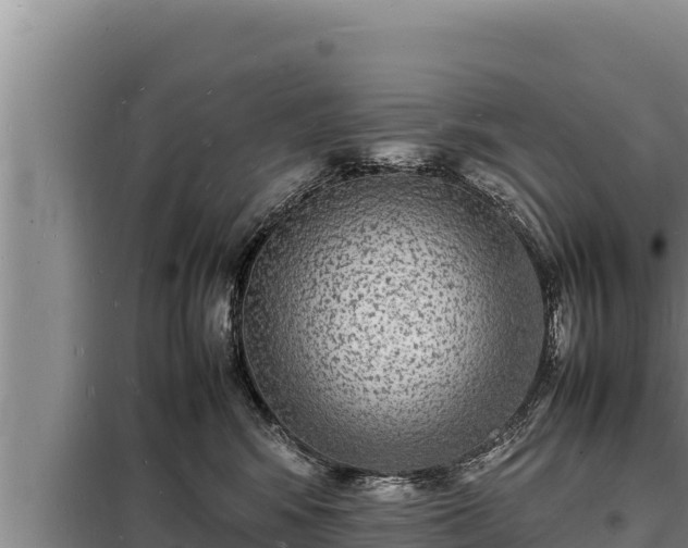 X0000098180424200805011040