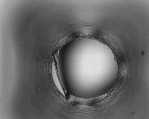 X0000098180425200805011040