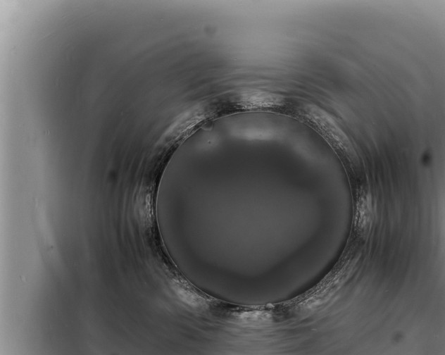 X0000098180426200805011040