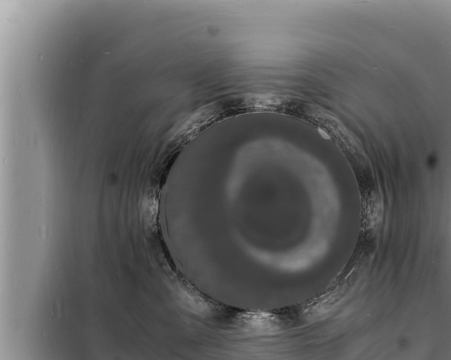 X0000098180427200805011040