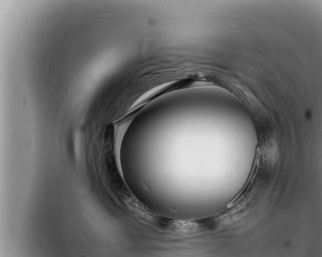 X0000098180429200805011040