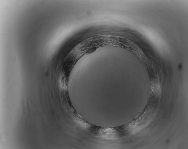 X0000098180431200805011040