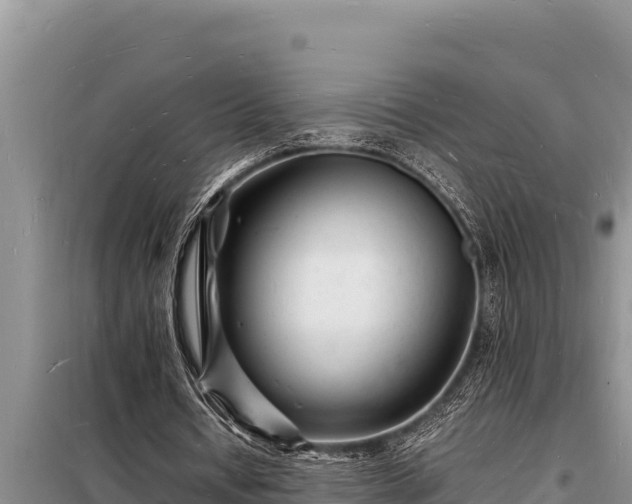 X0000098180434200805011039