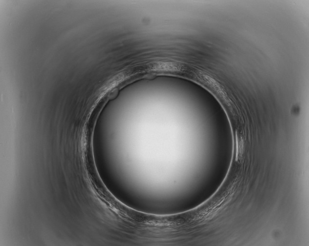 X0000098180435200805011039