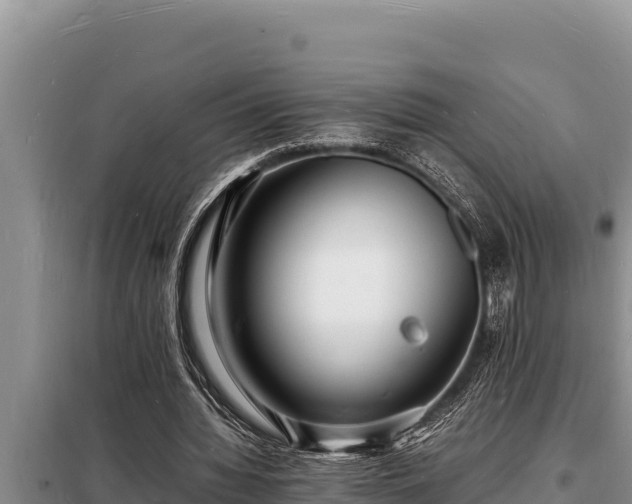 X0000098180436200805011039